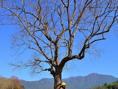 -塔川景区