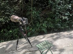 -火炉山森林公园