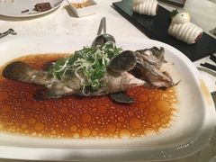 -鸿星海鲜酒家(格兰中心店)