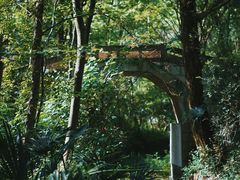 -青龙山国家森林公园
