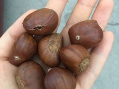 -阿男野栗王(金门路店)