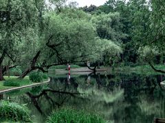 -上海共青森林公园