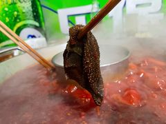 鲜毛肚-星鸿社重庆老火锅
