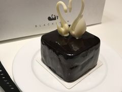 -BLACKSWAN黑天鹅(环球店)