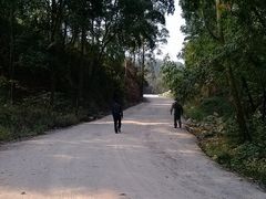 路面-火炉山森林公园