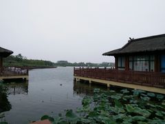 -杭州湾海上花田景区