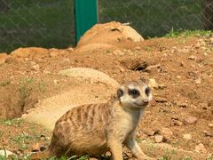 -秦皇岛野生动物园