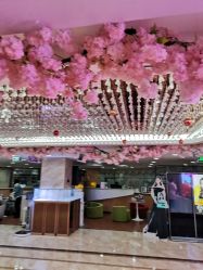 -重庆军美医疗美容医院