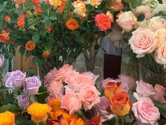 -知物癖(牛王庙店)