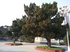 -郑州烈士陵园(二七区)