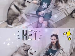 -星多哈·狗咖·拼豆·咖啡
