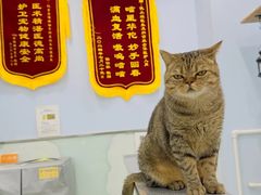 -纳吉亚猫专科动物医院博雅分院