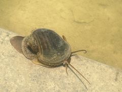 -宁波儿童公园(鄞州区)