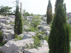 -原山国家森林公园