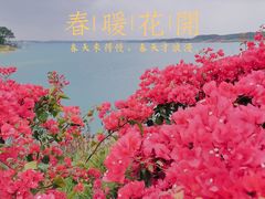 -露天矿生态公园