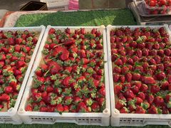 -南坛综合农贸市场