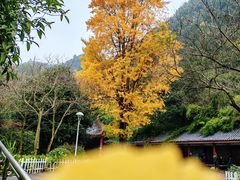 -黔灵山公园