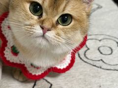 -蔚海之都·象山蒸汽海鲜(仙霞路店)