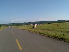 -塞罕坝国家级自然保护区