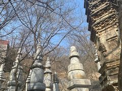 -天津盘山风景名胜区