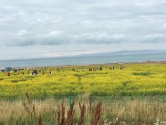 景点-青海湖国家重点风景名胜区