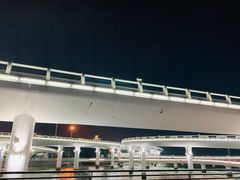 -演武大桥观景平台