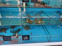 -北戴河庆山饭店·海鲜砂锅粥(北戴河黑石路店)