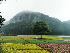 -广州市石门国家森林公园