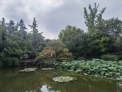 -秋霞圃