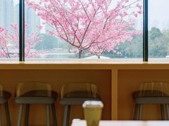 -新江湾城公园