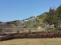 -安徽大青山野生动物世界