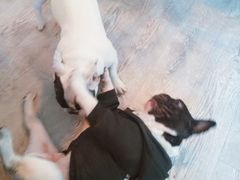 -小时光咖啡馆(北锣鼓巷店)