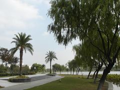 -东华大学(松江校区)