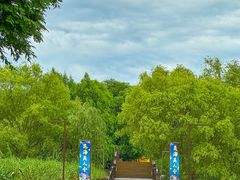 -苏州太湖国家湿地公园