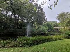 -广州兰圃