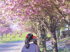 -南通洲际绿博园