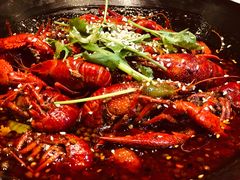 -红辣椒·川菜·火锅(科华路店)