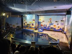 -太平洋海底世界