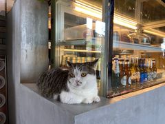 -IFIF 如果花園(宽厚里店)