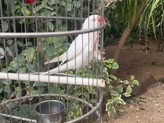 -南宫五洲植物乐园