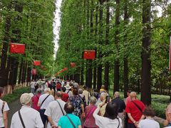 -金岛生态园烧烤露营地