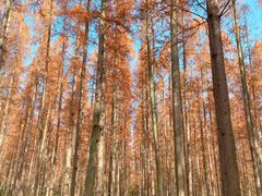 -上海怡沁园度假酒店