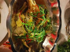 -越海渔村
