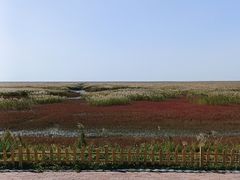 -红海滩国家风景廊道