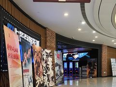 -SFC上影百联影城(川沙IMAX店)