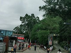 -火炉山森林公园