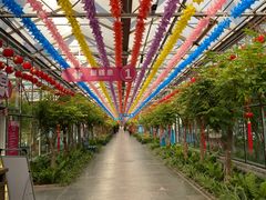 -南宫五洲植物乐园