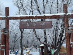 -中旅松花湖滑雪场