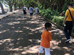 -大湾区中央湿地公园