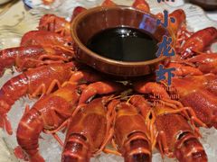 -江味龙虾馆·裸蓝龙虾(南山店)